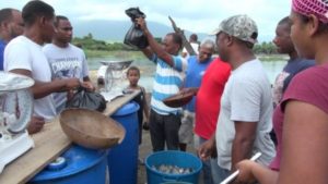 Proyecto crianza de peces en la Laguna Cabral