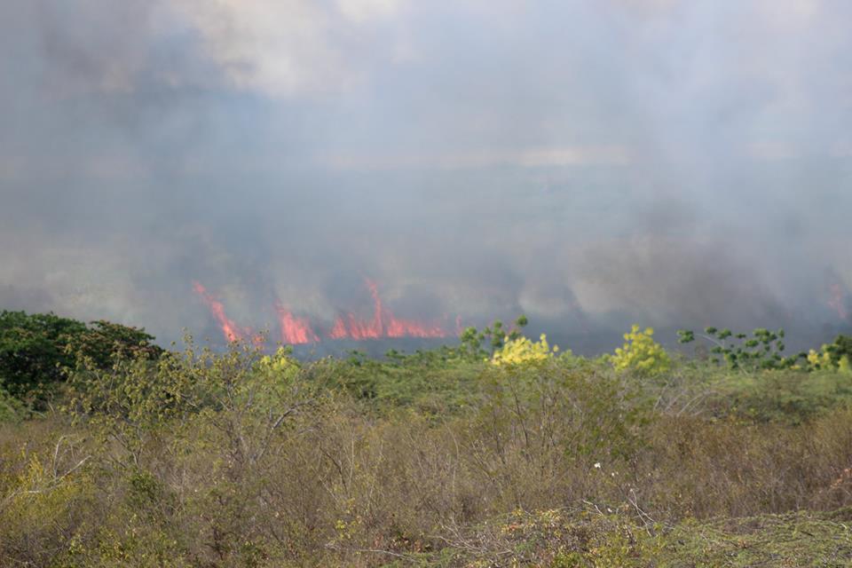 Incendio consume todo a su paso en Laguna Rincón o Cabral