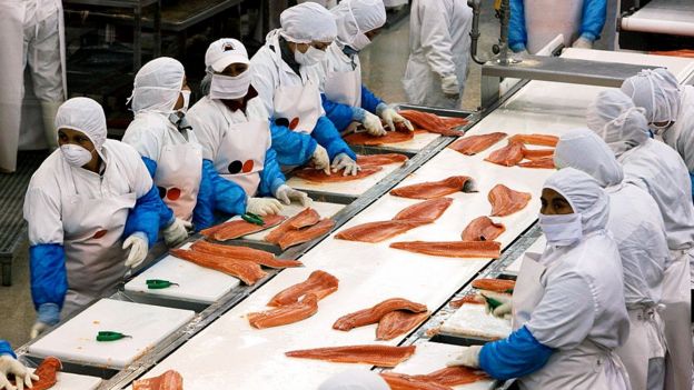 Un salmón importado es el principal sospechoso del rebrote de covid-19 que tiene paralizado a Pekín