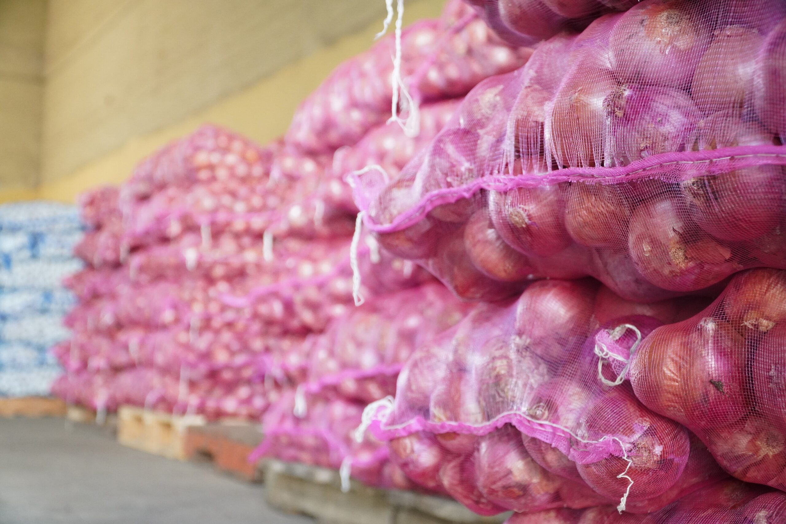 Inespre vende más de 6 mil quintales de cebolla a 10 pesos la libra